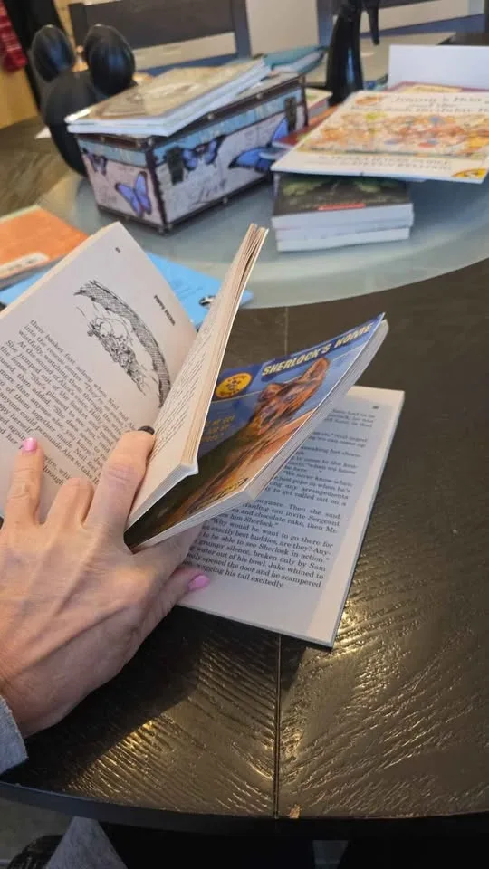 11 Young Readers - Early Chapter Books - $2 Each or $15 image indicator(8)