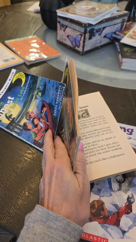 11 Young Readers - Early Chapter Books - $2 Each or $15 image indicator(9)