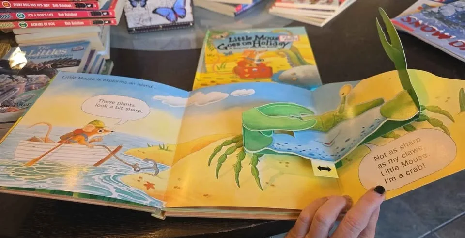 2 Little Mouse Pop up books Both for $5 image indicator(2)