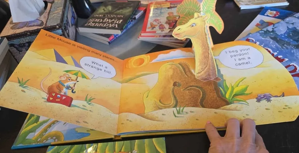 2 Little Mouse Pop up books Both for $5 image indicator(4)