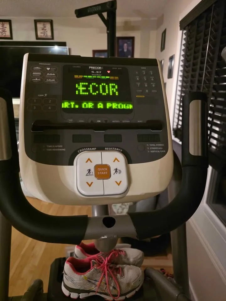 Precor 5.37 commercial elliptical image indicator(2)