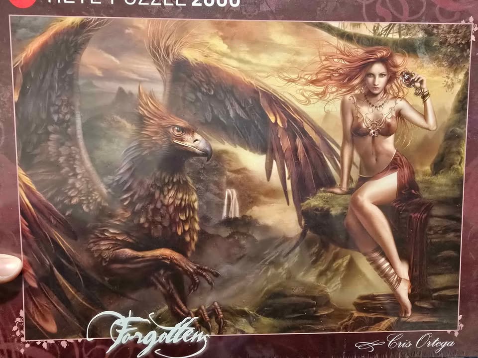 3 1000 pcs puzzles 2 2000 pcs puzzles - photo 5