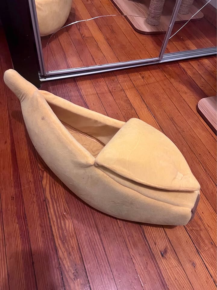 Banana cat bed