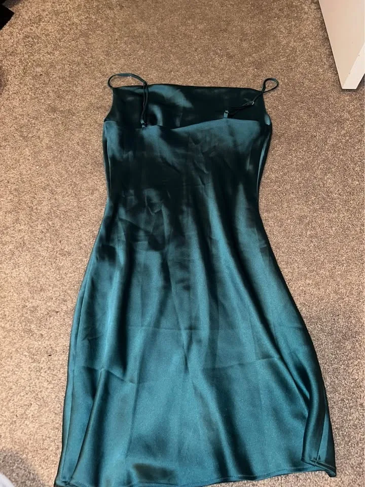 Super cute silk green/blue dress - Dynamite image indicator(2)