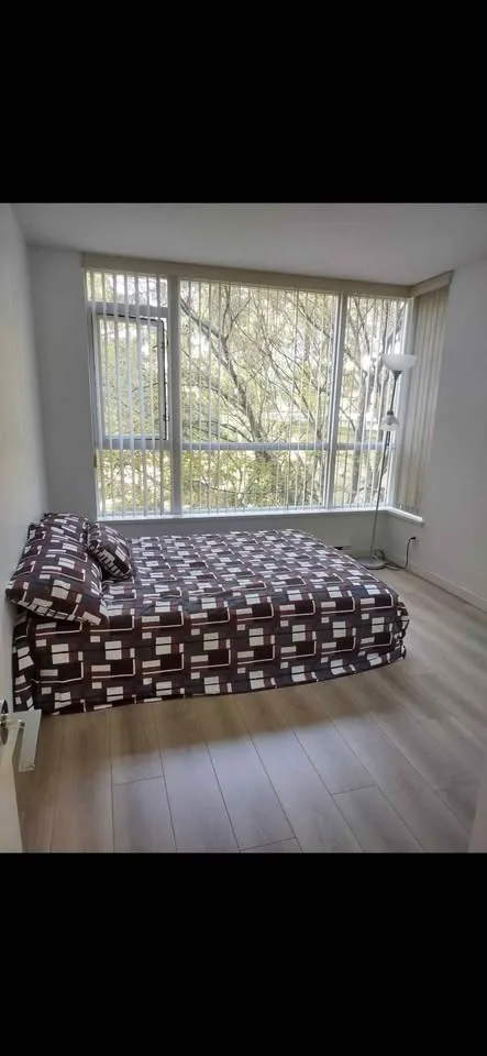 1 Bed 1 Bath - Apartment image indicator(5)