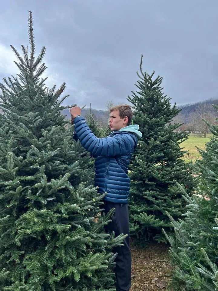 Real Christmas Trees (Free Delivery + Set Up)