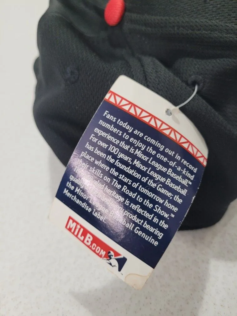 New Carolina Mudcats - Minor League Baseball Cap Hat image indicator(4)