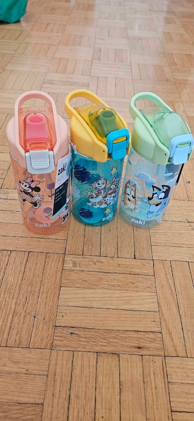 paw patrol/ bluey / Minnie mouse water bottles
