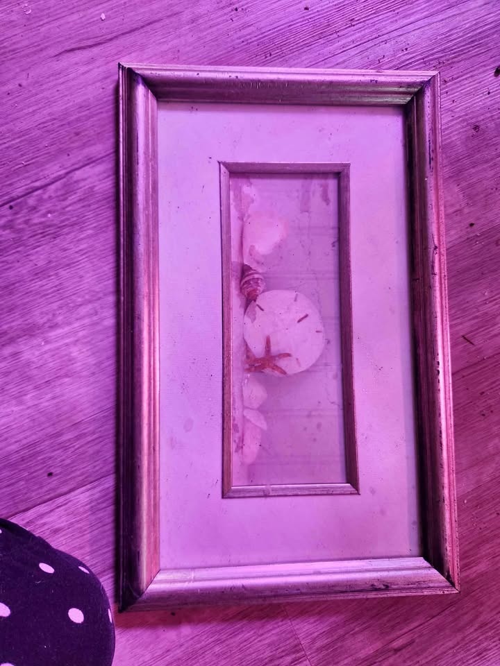 Seaside art work🌱