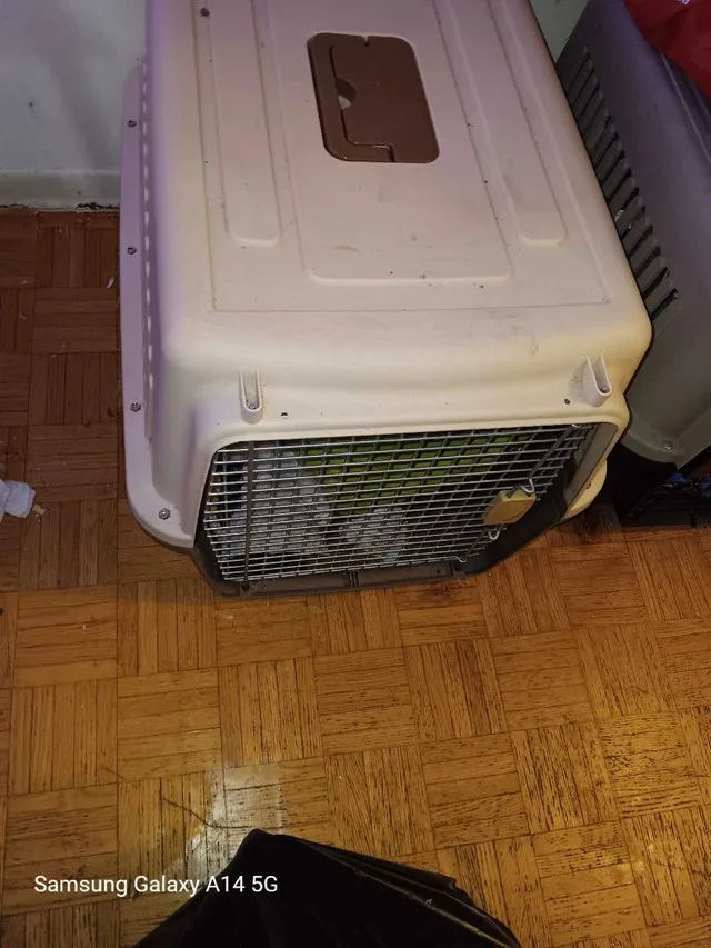 Dog crates - large & xlarge sizes available image indicator(2)