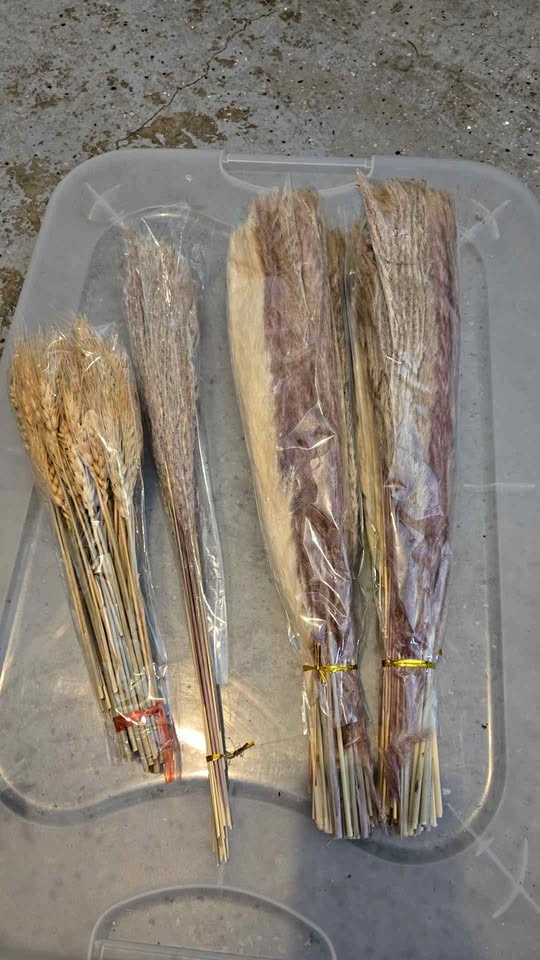 Dried fall florals