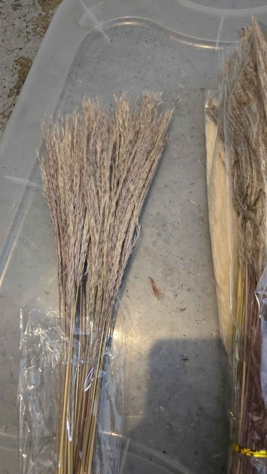 Dried fall florals - photo 4