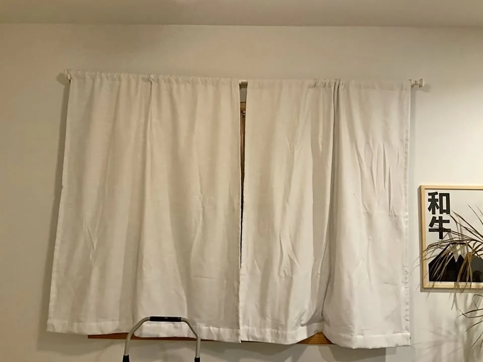 Project 62 Curtains 63x50