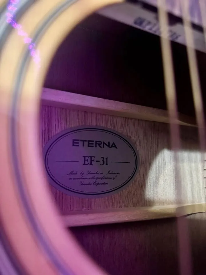 Yamaha Eterna Acoustic Guitar with Case & Strings image indicator(3)