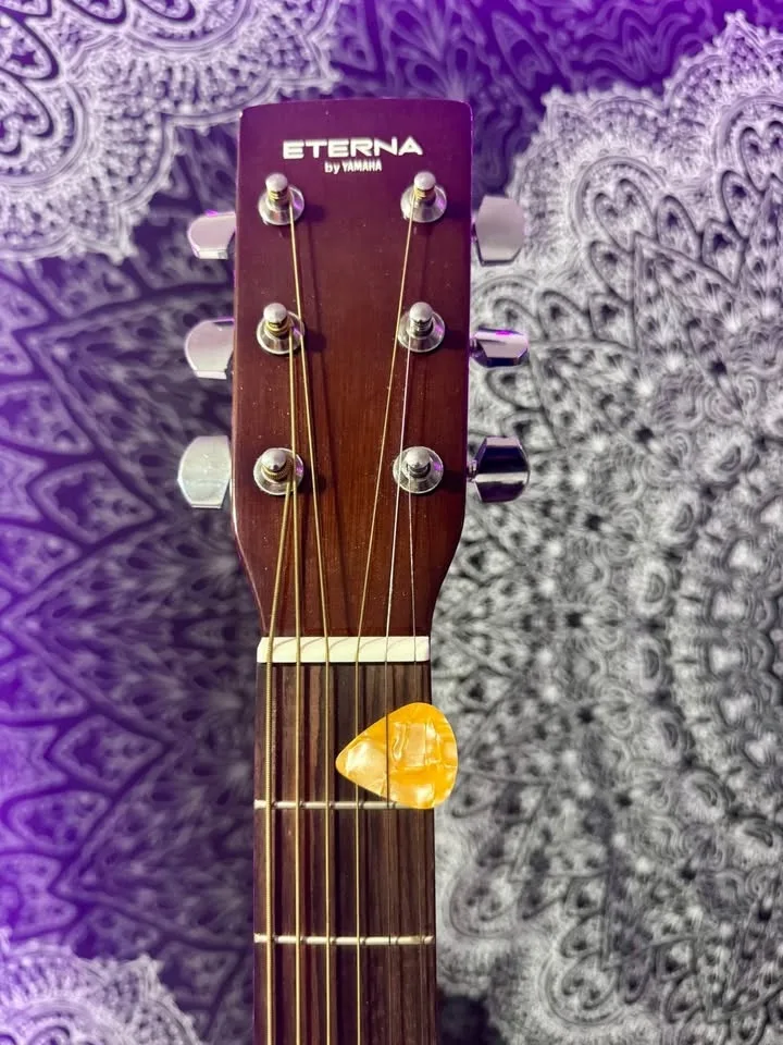 Yamaha Eterna Acoustic Guitar with Case & Strings image indicator(7)