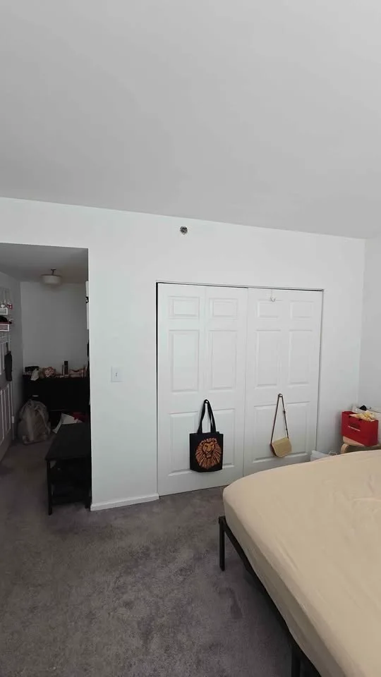 Master bedroom for rent image indicator(6)