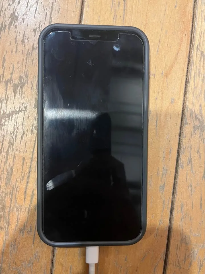 iPhone 12 image indicator(5)