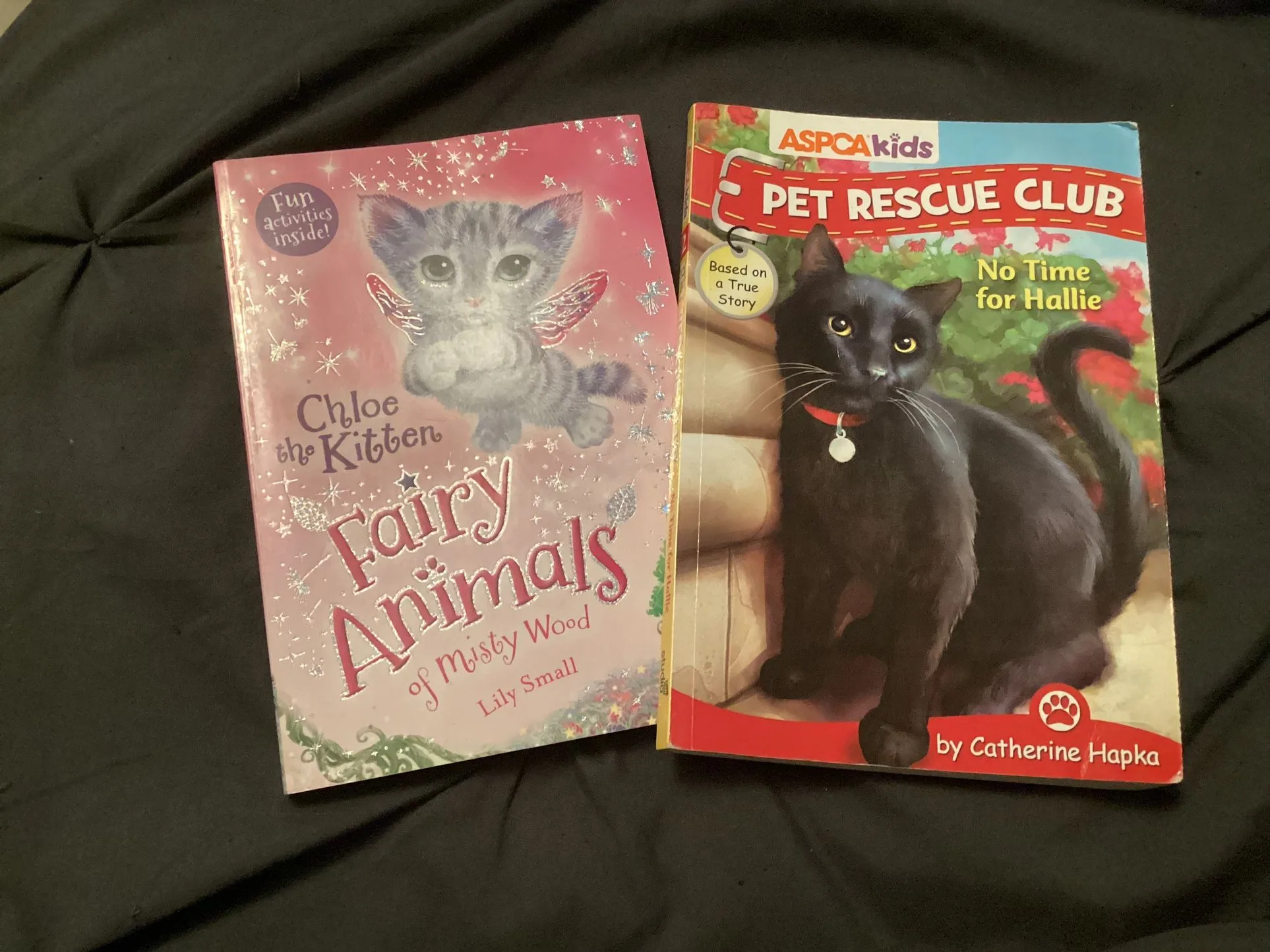 Fairy Animals & Pet Rescue Club Books