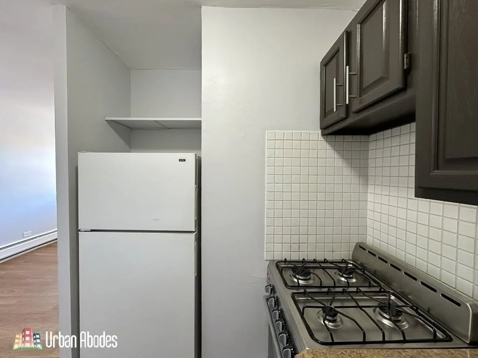 1 Bed 1 Bath Apartment image indicator(4)