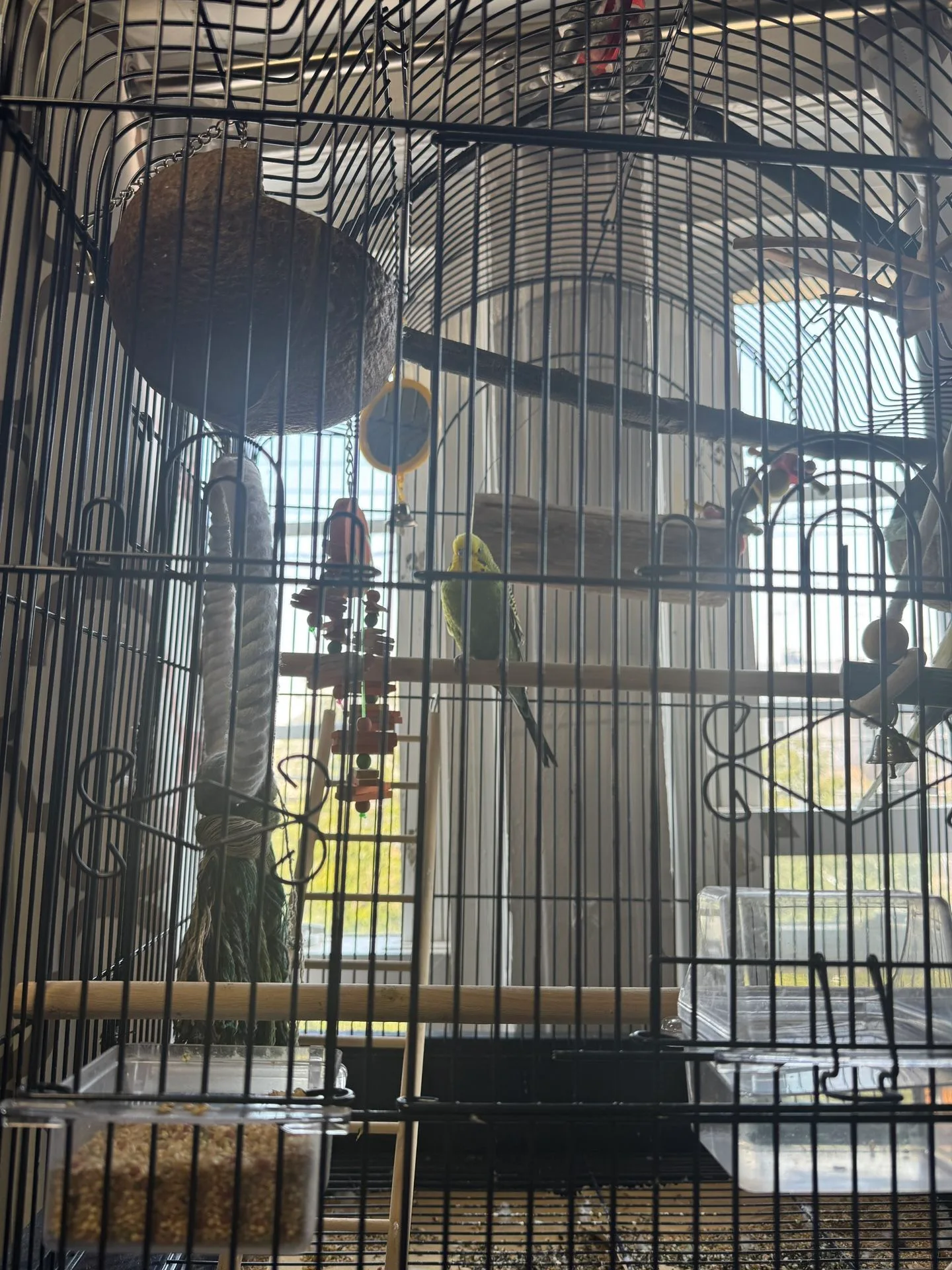 Bird Cage With Parakeets image indicator(4)