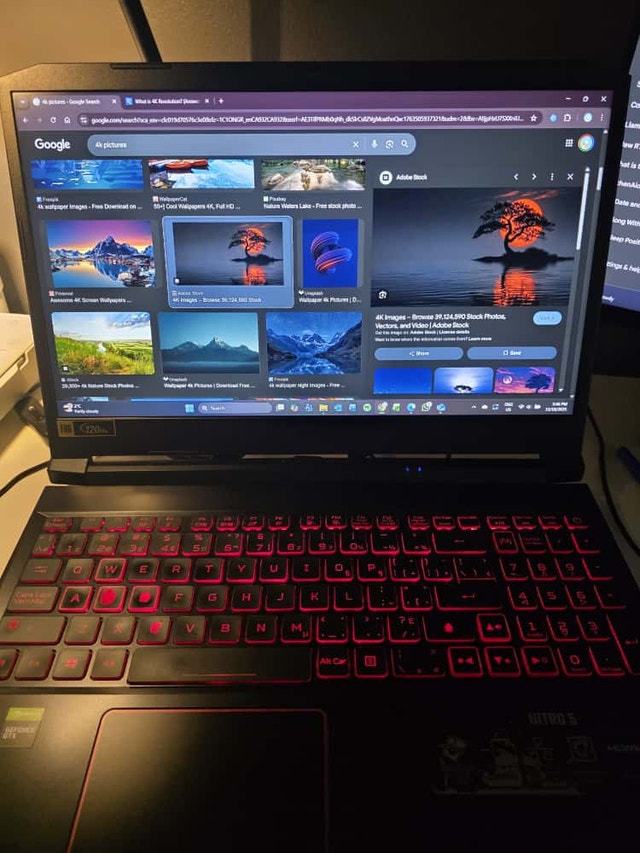 Acer Nitro 5 Gaming Laptop - i7, 16GB RAM, GTX 1650 Ti, 120Hz - photo 2