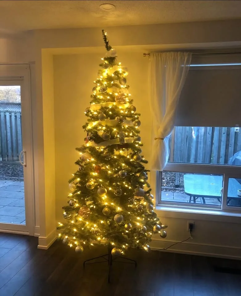 Christmas tree image indicator(3)