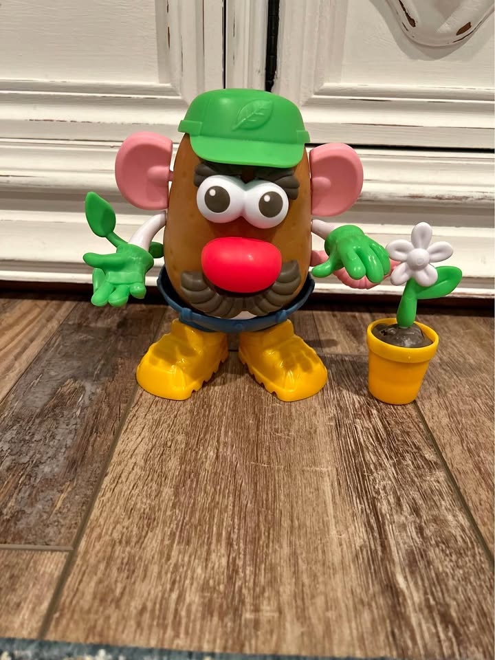 Mr Potato Head Goes Green