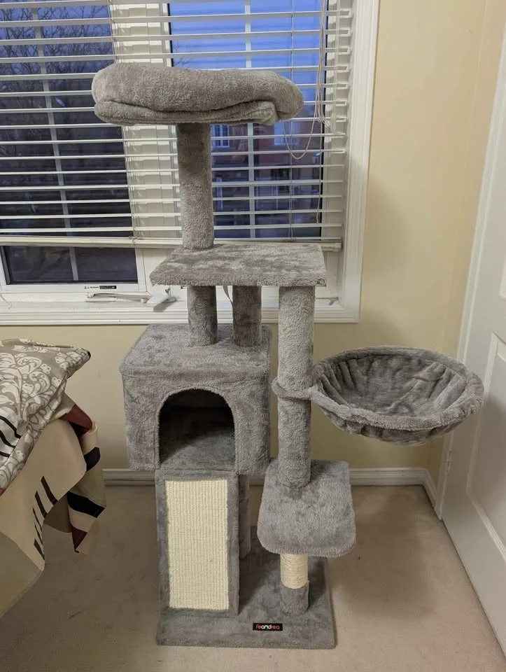 🐾 Cat Accessories for Sale — Need Them Gone for a Loving Cat 🐾 image indicator(3)