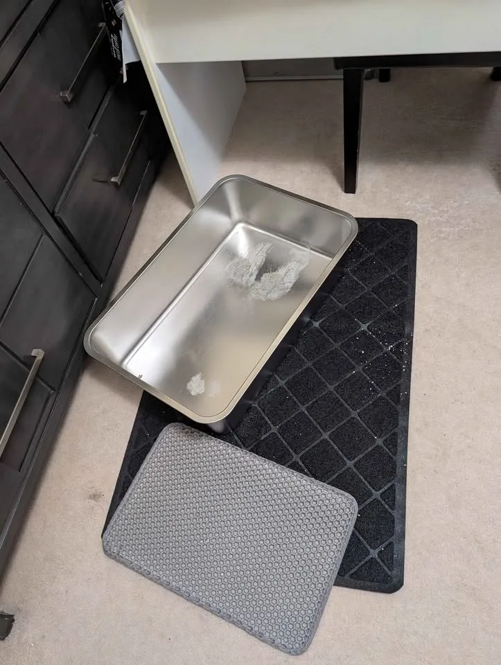 🐾 Cat Accessories for Sale — Need Them Gone for a Loving Cat 🐾 image indicator(4)