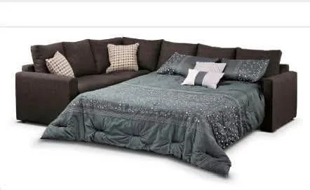 Sectional pull out couch