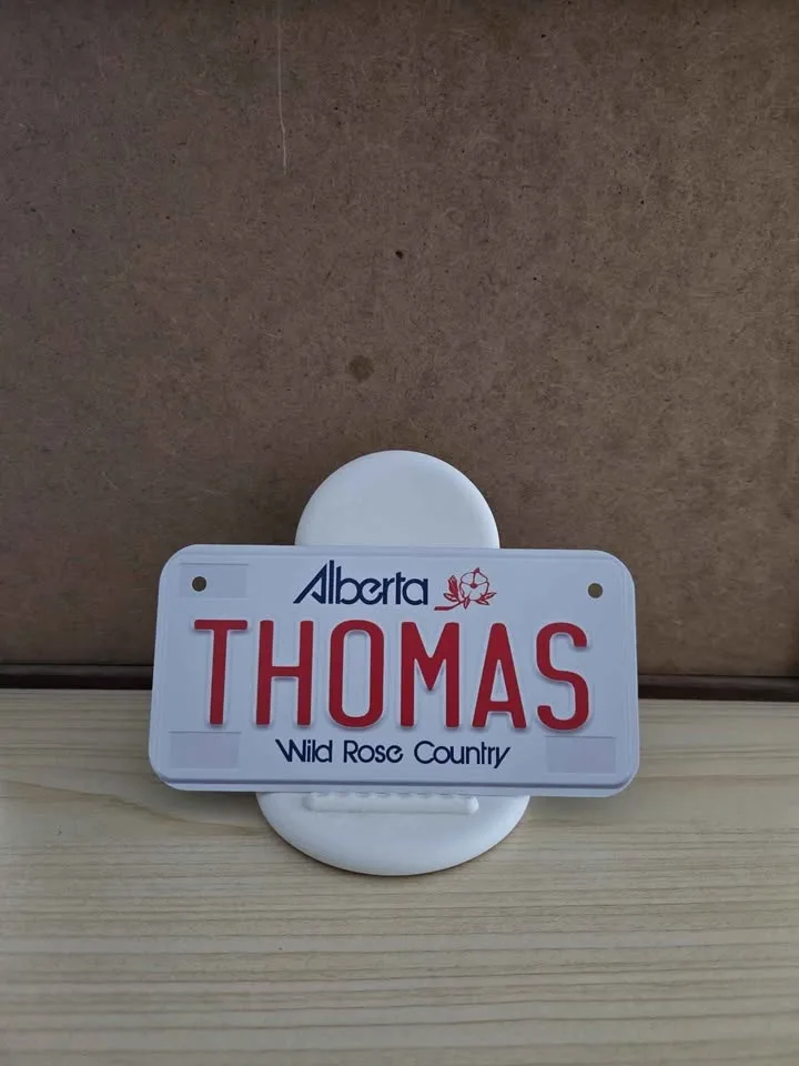 Custom vanity novelty aluminum metal plate with your words image indicator(4)