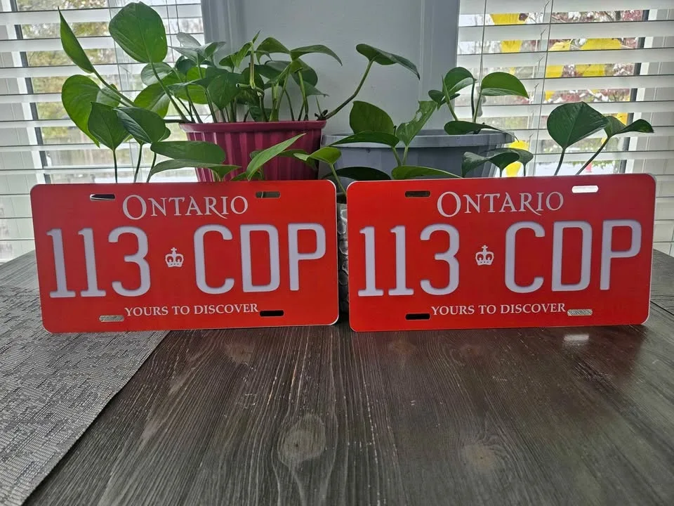 Custom vanity novelty aluminum metal plate with your words image indicator(9)