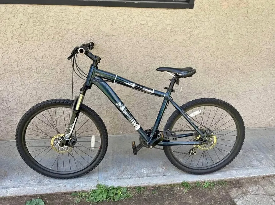 Diamondback Topanga Mountain bike