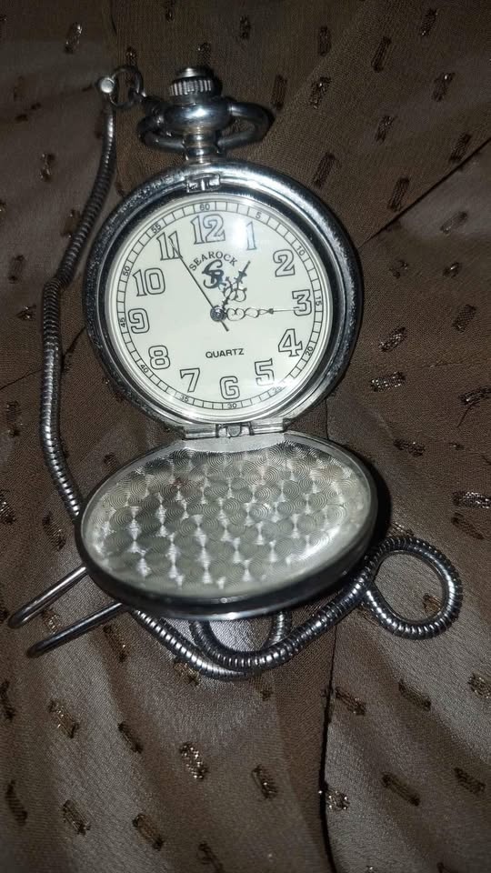 Eagle quartz pocket watch/Searock Great present.... - photo 3