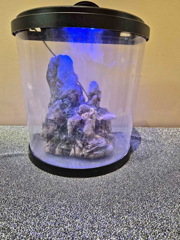 Tetra Bubbling LED Aquarium Kit 3 Gallons