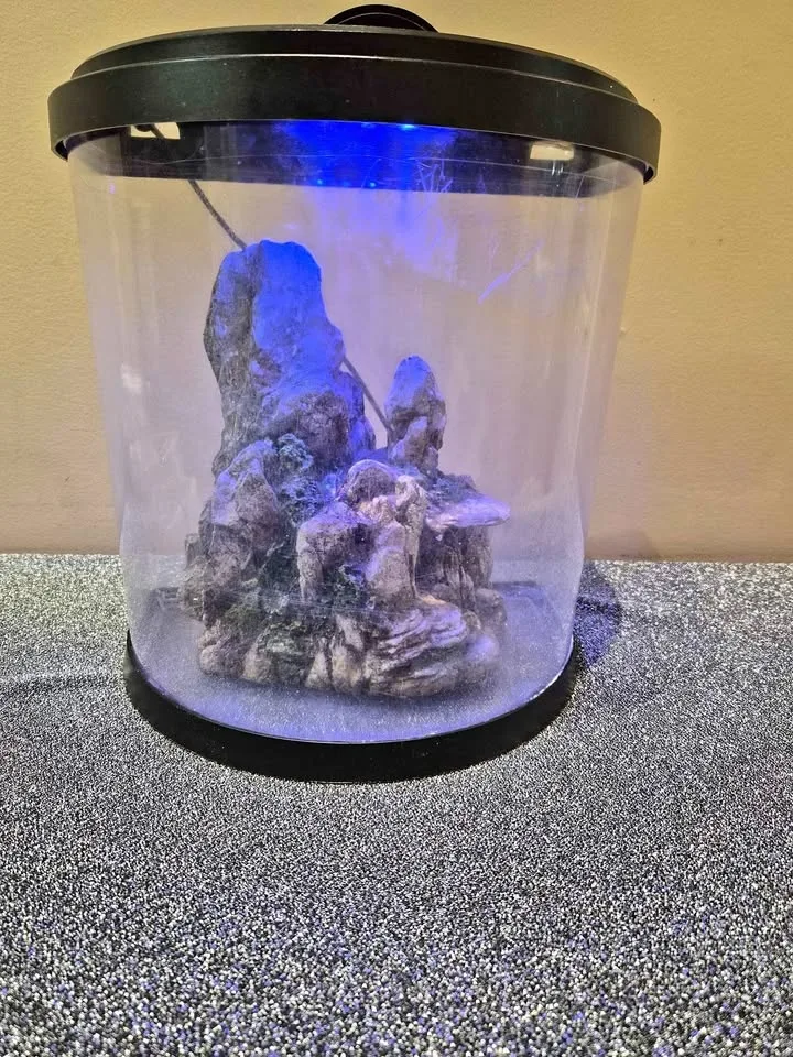 Tetra Bubbling LED Aquarium Kit 3 Gallons thumbnail