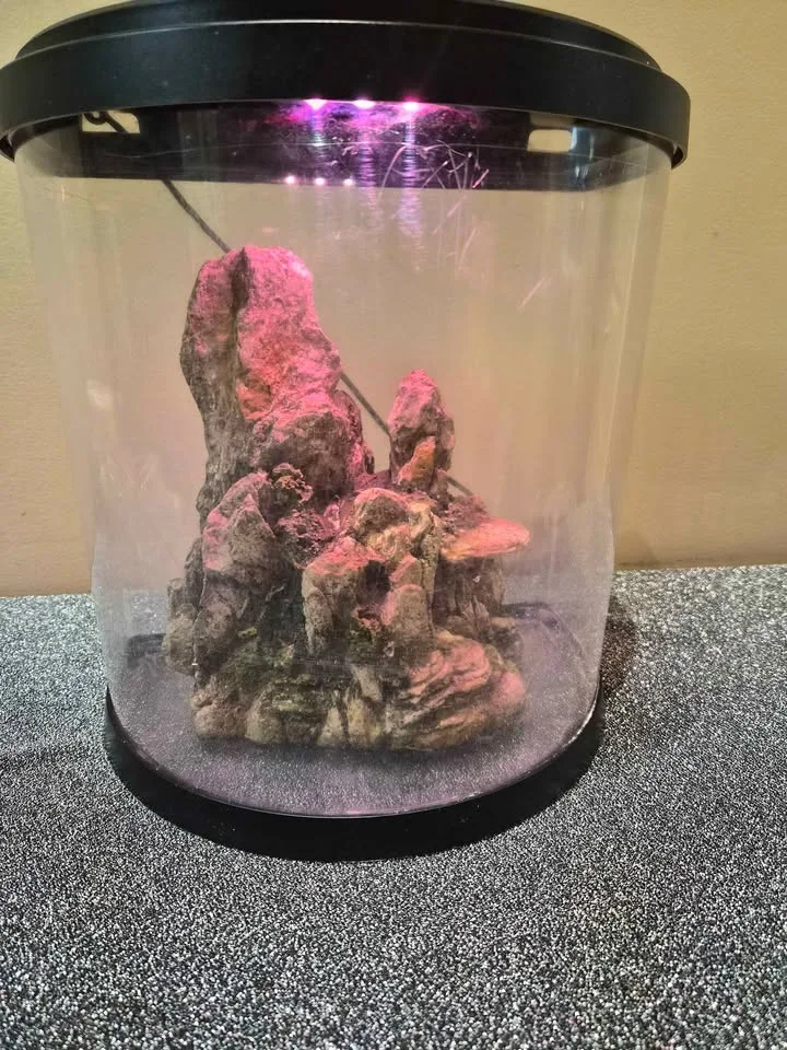 Tetra Bubbling LED Aquarium Kit 3 Gallons image indicator(2)