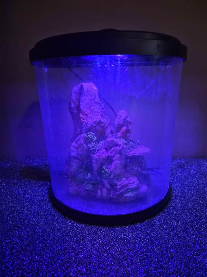 Tetra Bubbling LED Aquarium Kit 3 Gallons - photo 3