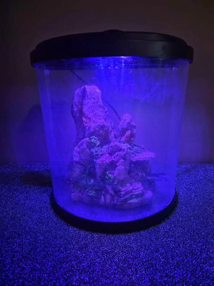 Tetra Bubbling LED Aquarium Kit 3 Gallons image indicator(3)