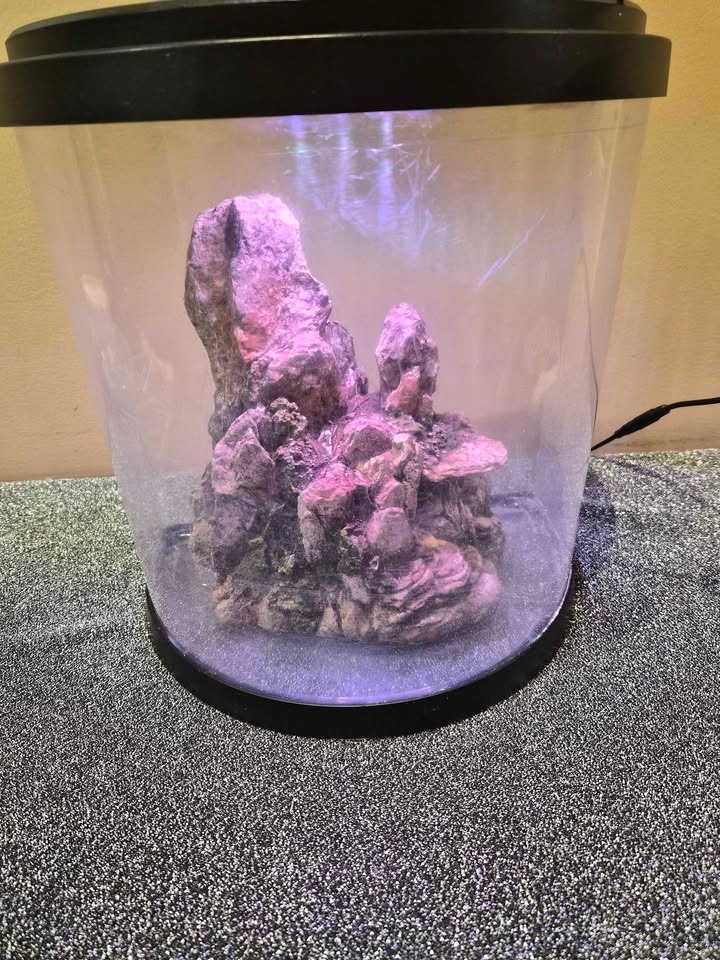Tetra Bubbling LED Aquarium Kit 3 Gallons - photo 4