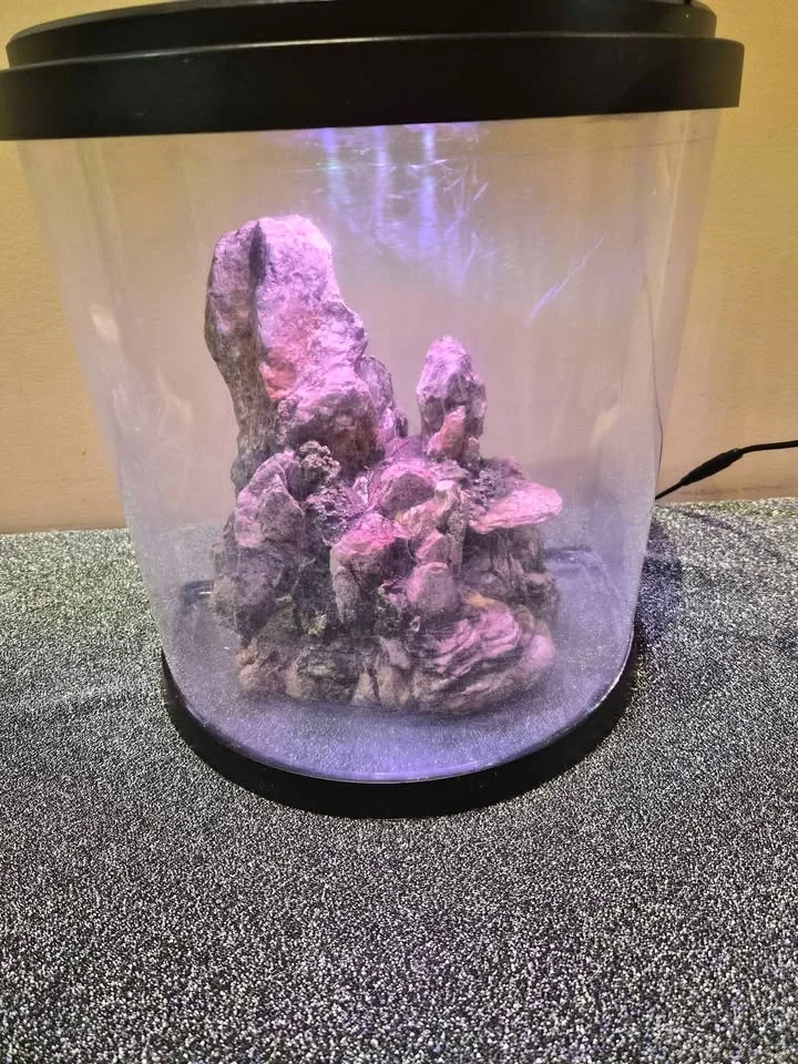 Tetra Bubbling LED Aquarium Kit 3 Gallons image indicator(4)