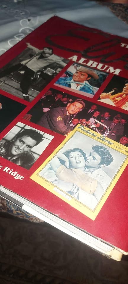 The Elvis Album by Millie Ridge -BOOK Mint condition - photo 2