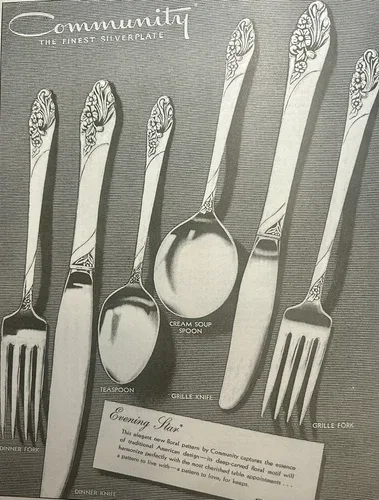 Evening Star Oneida Silverplate 6-Piece Setting image indicator(6)