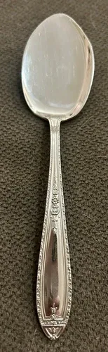 Alvin Silverplate, Louisiana pattern, 1924, 5 3/4" Jelly spoon image indicator(2)