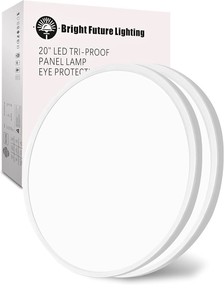 Bright Future Lighting LED Ceiling Light - White