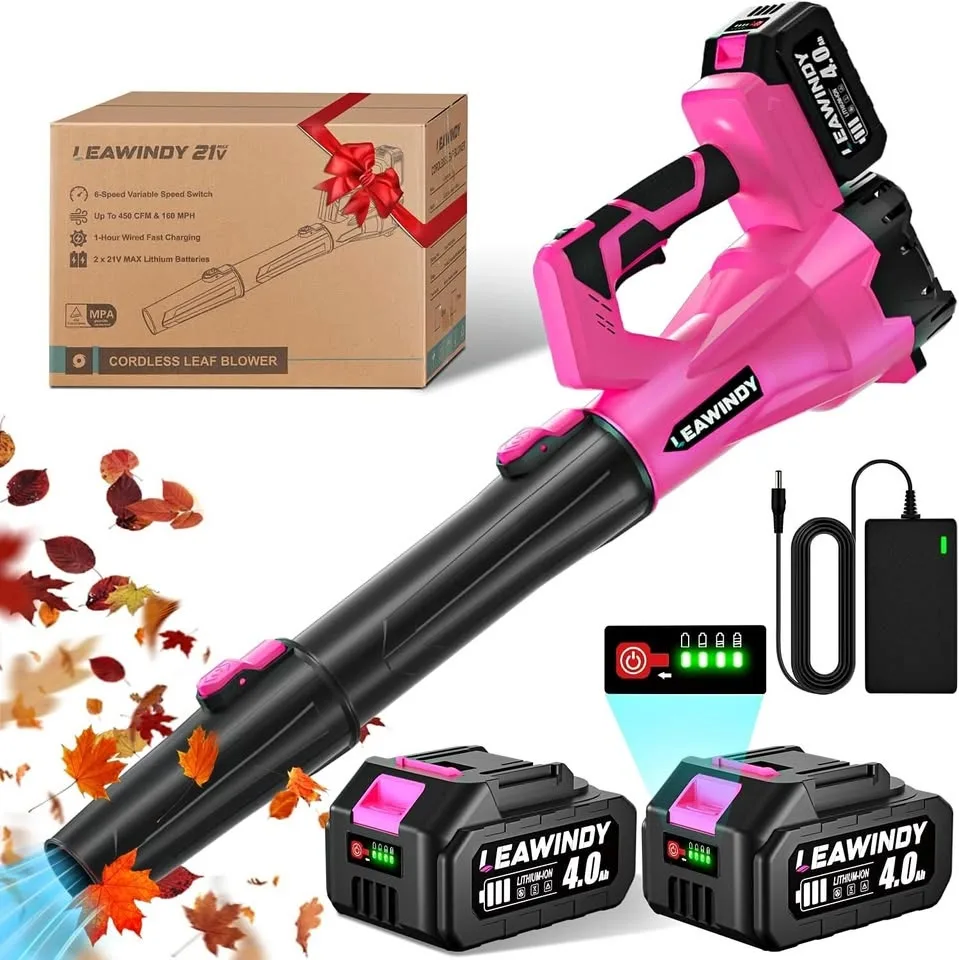 LEAWINDY Leaf Blower Cordless with 6 Speeds Mode