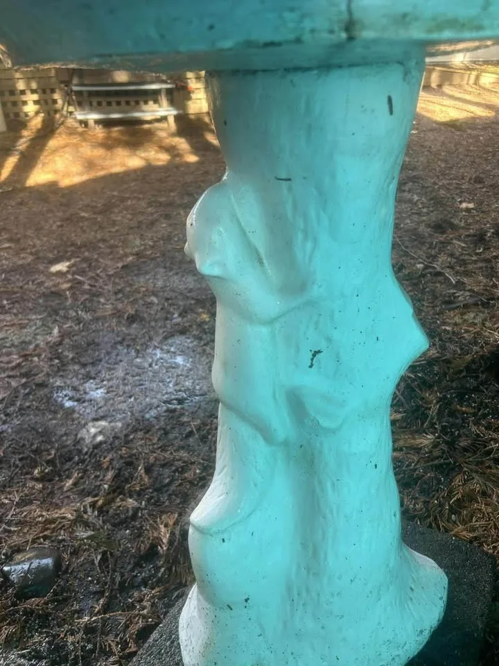 Rustic Squirrel Bird Bath – Solid Concrete Beauty image indicator(3)