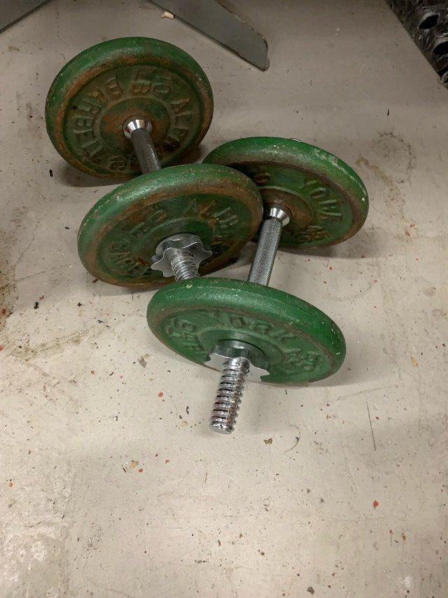 York 10 lb Dumbbells