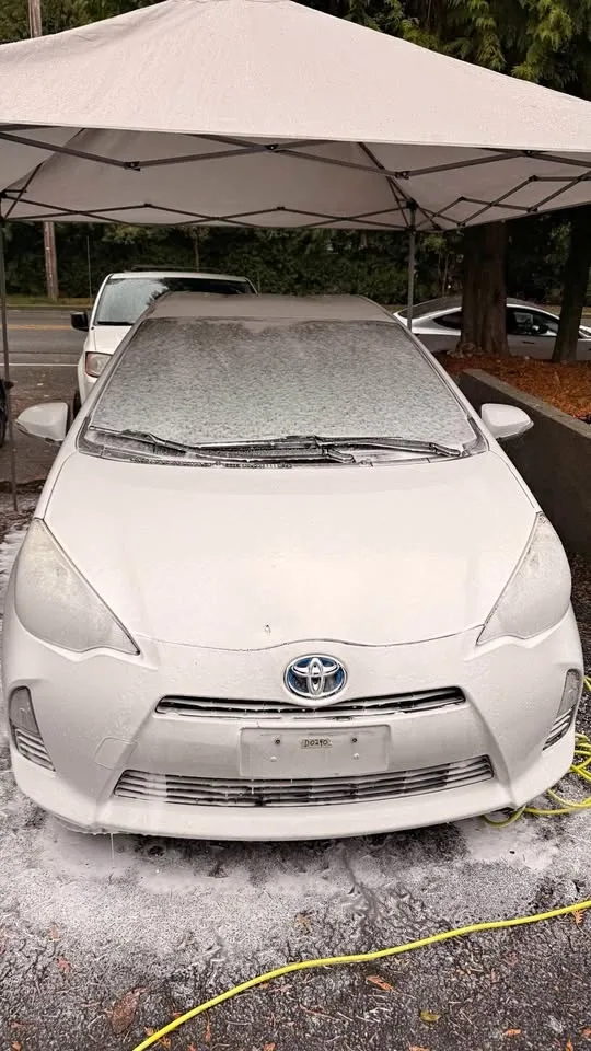 Professional car detailing