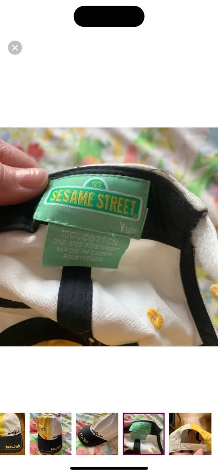 NYC Sesame Street hat image indicator(4)